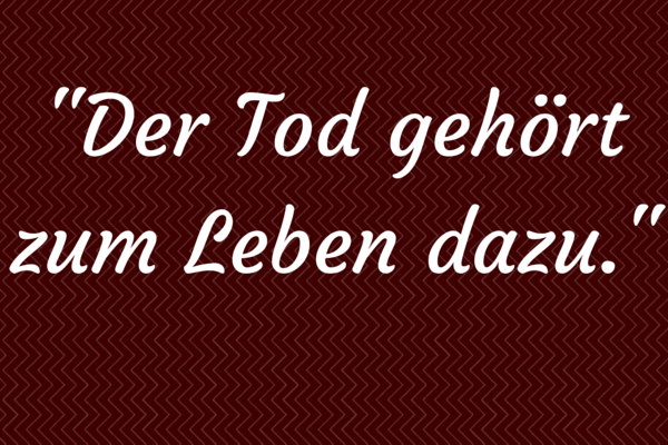 Wenn Du 1013 Filmzitate Richtig Zuordnen Kannst Bist Du Ein Wahrer