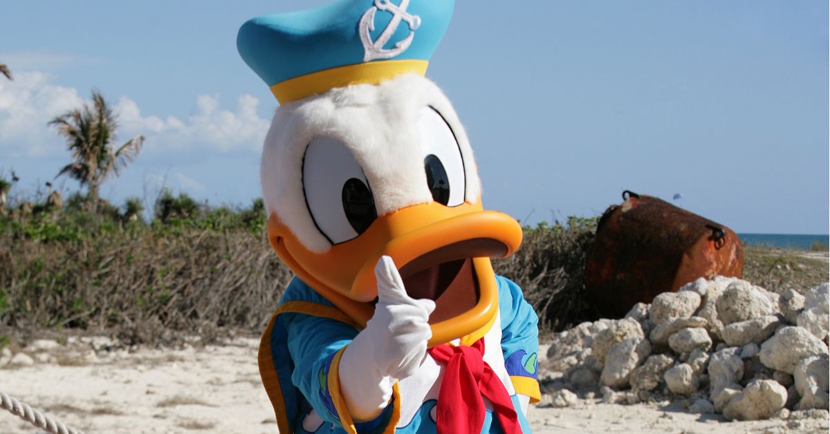 Donald Duck Cartoon Disney