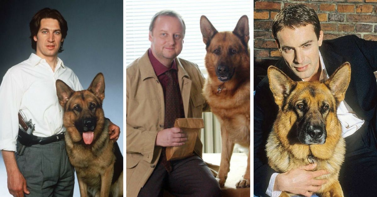 Kommissar Rex Folgen Kommissar Rex Folgen