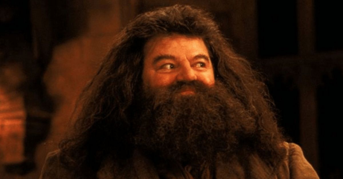 In Welchem Haus War Hagrid Kannst du diese 15 Fragen über Hagrid richtig beantworten?