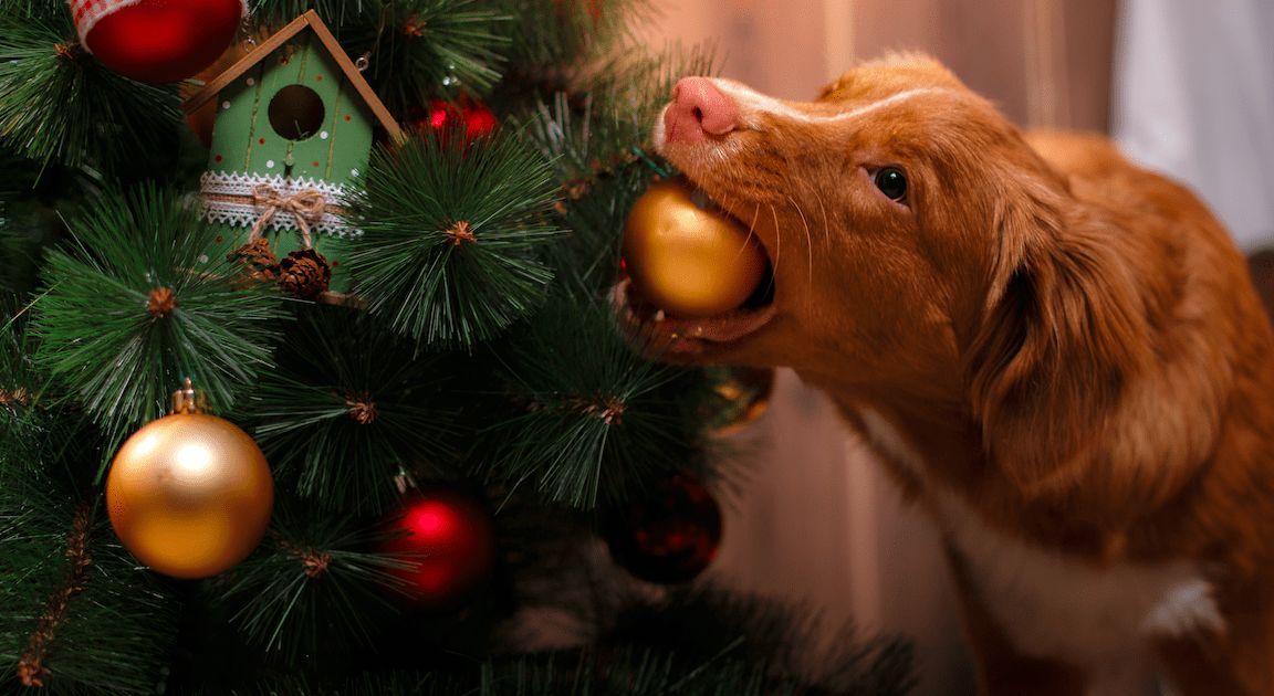 Lustige Weihnachtsbaum-Deko